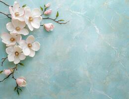 Elegant magnolia flowers on a soft blue marble background photo