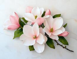 Elegant magnolia flowers in full bloom photo