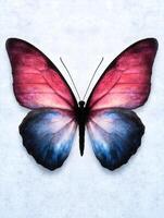Vibrant butterfly with intricate wing patterns photo