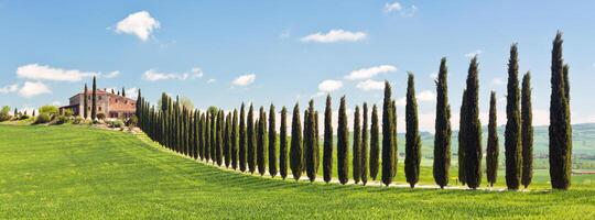 Classic View of Tuscan Farmhouse, Green Field and Cypress Tree Rows photo