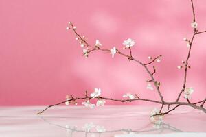 Blooming spring branches with flowers and its shadow on pink background photo