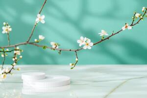 Decorative podiums and blooming branches on green background with shadows photo