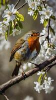 A bird is perched on a branch of a tree photo