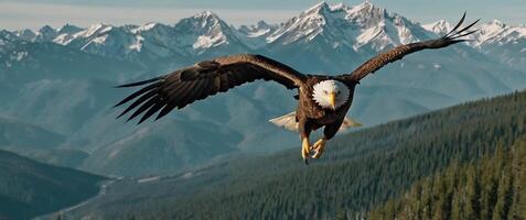 A bald eagle flying over a mountain range photo