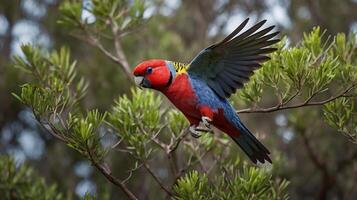 A colorful bird is perched on a tree branch photo