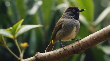 A small bird is sitting on a branch photo