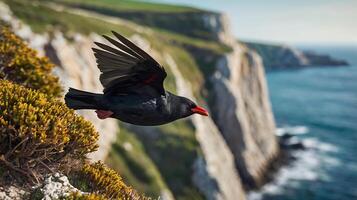 A black bird flying over a cliff with green plants photo