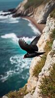 A bird flying over a cliff near the ocean photo