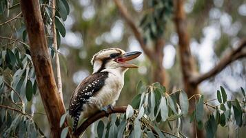 A bird sitting on a branch with its mouth open photo