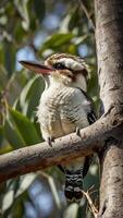A bird sitting on a branch of a tree photo