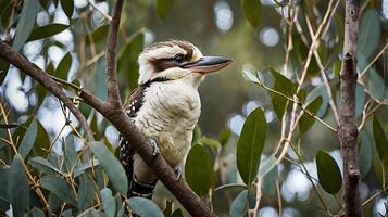 A bird sitting on a branch in a tree photo