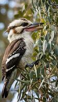 A bird sitting on a branch with its beak open photo
