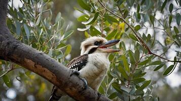 A bird sitting on a branch with its mouth open photo