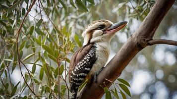 A bird sitting on a branch with its mouth open photo