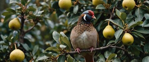 A bird is sitting on a branch with fruit photo