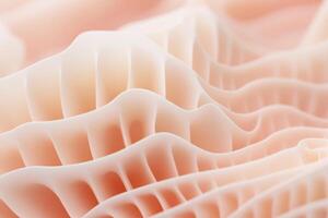 Exploring the complex patterns of a delicate 3D lattice structure under soft lighting photo