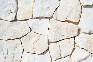 Close-up of textured organic stone surface showcasing cracks and detailed patterns under soft lighting photo