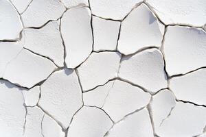 Close-up of rough organic stone texture showcasing cracks and intricate details under soft lighting photo