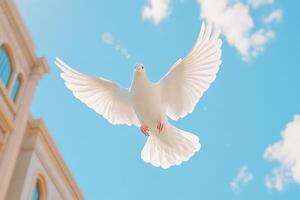 A white dove soaring gracefully in the sky, wings fully extended against a bright blue backdrop of soft clouds photo