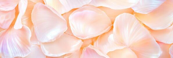 Abstract crushed pearlescent shells create a mesmerizing background with iridescent hues and pastel highlights photo