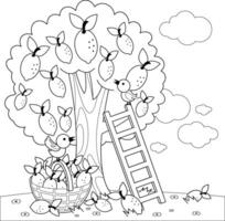 A lemon tree, birds, a ladder and a basket with harvested lemons. Lemon citrus fresh fruit produce picking at the farm. Lemon tree in the orchard garden. Black and white coloring page. vector