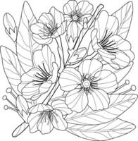 Blossoming almond tree branch with flowers. Branch with spring flowers. Fruit tree branch. Black and white coloring page. vector