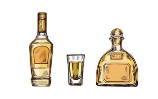 Hand-drawn colored and monochrome bottles of tequila and shot glass with tequila. Design element for the menu of bars and in engraving style. Mexican, Latin America. vector
