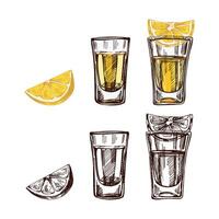 Hand-drawn colored and monochrome shot glasses with tequila with a slices of lime. Design element set for the menu of bars and restaurants, alcohol stores. vector