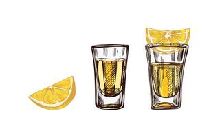 Hand-drawn colored shot glasses with tequila with a slices of lime. Design element set for the menu of bars and restaurants, alcohol stores. vector
