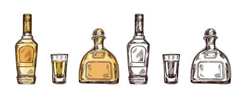 Hand-drawn colored and monochrome bottles of tequila and shot glass with tequila. Design element for the menu of bars and in engraving style. Mexican, Latin America. vector