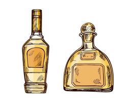 Hand-drawn colored bottles of tequila. Design elements set for the menu of bars and restaurants. sketch illustration in engraving style. Mexican vector