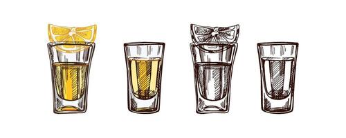 Hand-drawn colored and monochrome shot glasses with tequila with a slice of lime. Design element for the menu of bars and restaurants, alcohol stores. vector