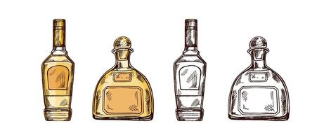Hand-drawn colored and monochrome bottles of tequila. Design elements set for the menu of bars and restaurants. vector