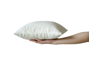 A person gently holds a embroidered pillow against a neutral png