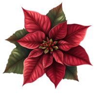 Bright red flower with lush green leaves in full bloom during the spring season png