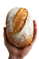 A hand cradles a warm, rustic loaf of bread against a bright backdrop png