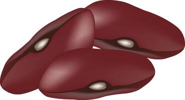 Three red kidney beans forming a small pile on white background vector
