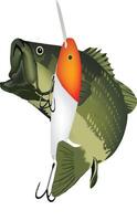 A fish with a lure on a white background vector