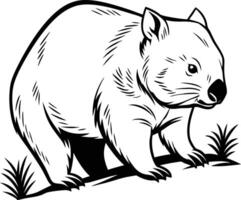 drawing of a Wombat vector