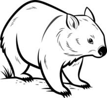 Black And White Drawing Wombat illustrations Art vector