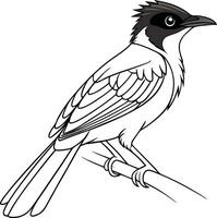 Continuous Line Drawing Of A Cardinal vector