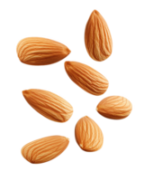 Aerial view of smooth, shiny light brown almond nuts scattered on a clean background png