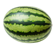 Vibrant green and black striped oval fruit for summer gatherings and treats png