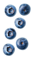 A delightful cluster of plump blueberries showcases their deep blue hue and unique shapes png
