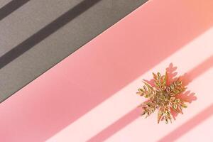 Christmas and New year shiny christmas snowflake on a pink and gray background with diagonal stripes from the rays of the sun photo