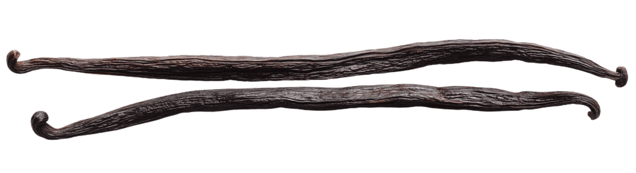 zwei dunkel braun Vanille Schoten elegant angezeigt auf ein neutral Hintergrund png