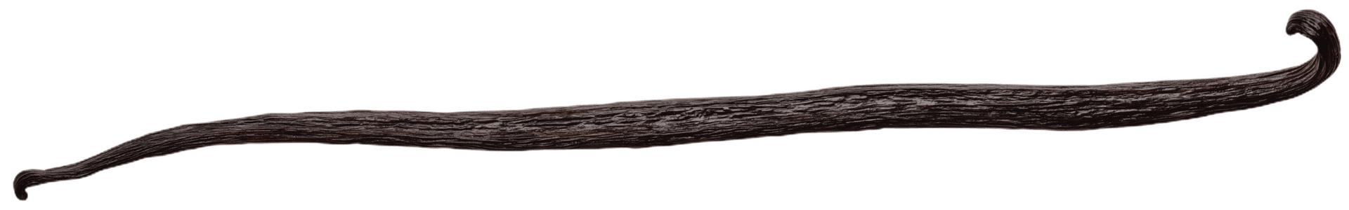 gebogen Vanille Bohne Hervorheben es ist Reich Aroma und kulinarisch Verwendet im das Küche png
