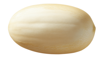 A smooth, oval-shaped object resting against a pristine white backdrop in natural light png