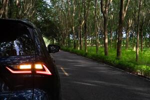 Close up rear side of dark car with turn on light signal on asphalt road. Beside of rubber tree forest with green grass on ground. photo
