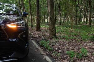 Close up fron of dark car parking with turn on light signal on asphalt road. Beside of rubber tree forest with green grass on ground. photo